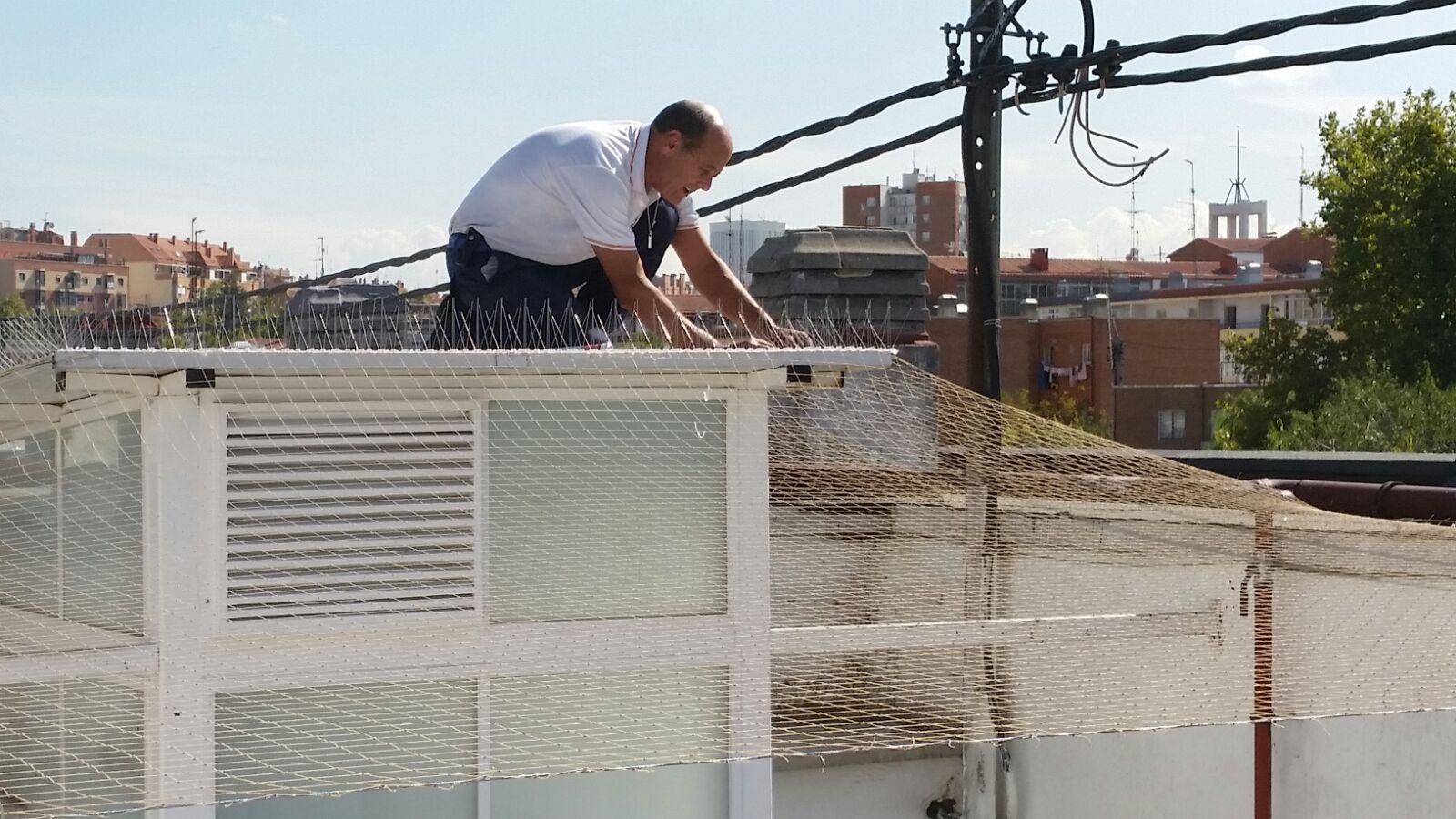 Instalaci&oacute;n de redes contra palomas

